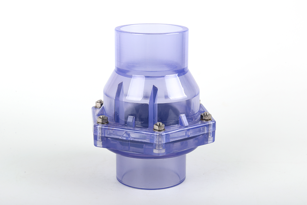 修文透明翻板式止回阀